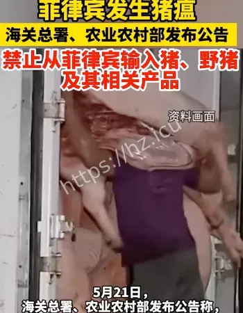 禁止从菲律宾输入猪